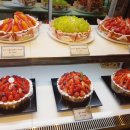 발리스파테라스5 이미지