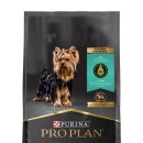 퍼피플랜 이미지