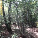 용강4리 이미지