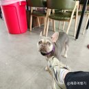 연강갤러리카페테리아 - 26551 | 연강갤러리카페테리아