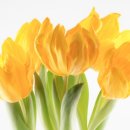 동래여인숙 이미지