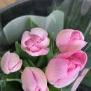 구성여성경로당 이미지