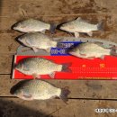 애플좌대 대박 이미지