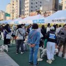 모여라 댕댕 이미지