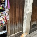 수향 | [해외여행_상해②] 동향의 베네스, 상하이 근교 일일투어 내돈내산 &#34;우전수향마을&#34; 후기