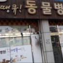땡큐동물병원 이미지