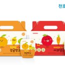 아이조아 이미지