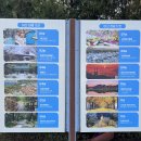 파주로 은행나무길 | 서울 근교 당일치기 여행 충남 아산 은행나무길 신정호 카페 추천