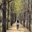 첨단다목적체육센터 | [광주/첨단] 첨단생활체육공원 산책 &amp; 다목적체육센터 방문기