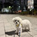 순떠기 - 41564 | 순떠기