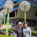 효령로 28 이미지