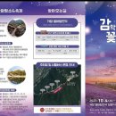 푸른별여행