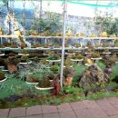 삼성농원 이미지