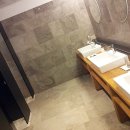 360도CC Daum카페