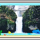 외딴농장 이미지