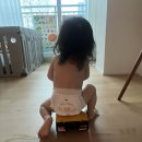 엔젤어린이집 | 내돈내산) 팸퍼스 썸머 기저귀 에어차차 vs 신제품 엔젤브리즈 솔직 후기