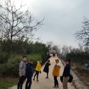 여수경도펜션카라반 이미지