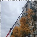 양구스카이 안전과 효율을 동시에, 강원스카이 체험 후기