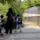 정재 초등학교 이미지