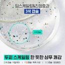 조군헤어 | 군마트샴푸 추천 직접 써보니 | 탈모샴푸까지 솔직 후기 (라보에이치)
