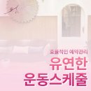 에스바디핏진접