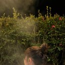 블루밍 스파앤풀빌라 이미지