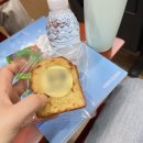 이영약품 이미지