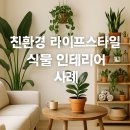 식물 인테리어로 바뀐 우리집, 공기까지 깨끗해질 줄 몰랐다면?