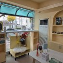 별이알이 댕댕샵 이미지