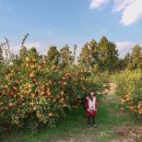 신풍여관 | 제주도여행 - 5박 6일 제주도 일정, 제주 에어비앤비 숙소!