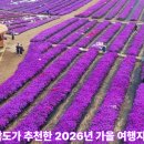 대산문화체육공원(플라워랜드) | 경상남도가 추천한 2026년 가을 여행지 18곳