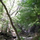 화암사 가는길 이미지