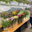 꽃으로 힐링하는 플라워 클래스 이미지