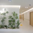 세안한방병원 이미지