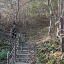 이화산등산로 이미지