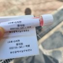 일신여성의원 이미지