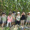 해나농장 이미지