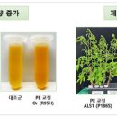 프라임개발 이미지