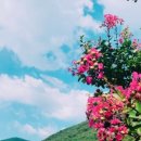 문막우미관 이미지