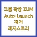 크롬 확장 <b>ZUM</b> Auto-Launch 제거 레지스트리