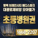 모아엘가 A | 브레인시티 메디스파크 대광로제비앙 모아엘가 임장 후기 생활 인프라 학교 병원 총정리