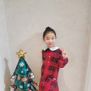 하버드유치원 이미지