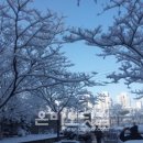 가로수민박 이미지