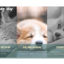 러닝독 스테이 이미지