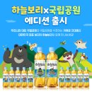 하늘보리 이미지