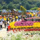 용대관광지2 이미지