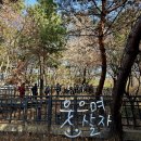 아차산 동행숲길 이미지