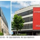 양지 이미지
