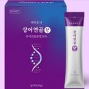 이황MSM 이미지