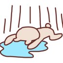 호호포차 이미지